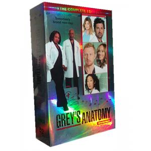 Grey's Anatomy Season 10 DVD Box Set - Click Image to Close